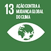 ODS 13